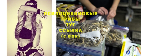 СК Заводоуковск