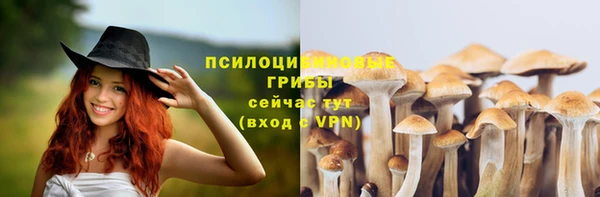 амфетамин Покачи