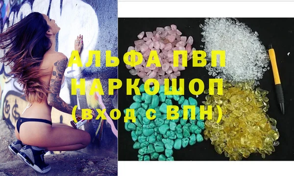 стафф Заволжск
