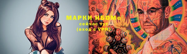 шишки Медвежьегорск