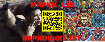 твердый Новодвинск