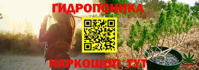 твердый Новодвинск