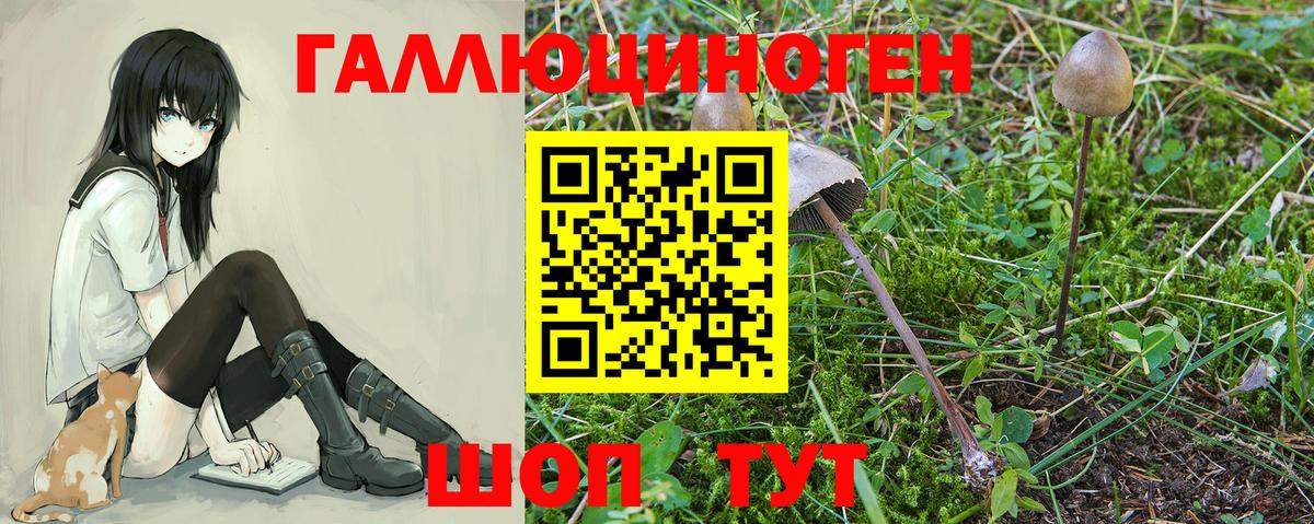 Галлюциногенные грибы мухоморы  Псилоцибиновые грибы GOLDEN TEACHER  Вход с VPN  Сердобск 
