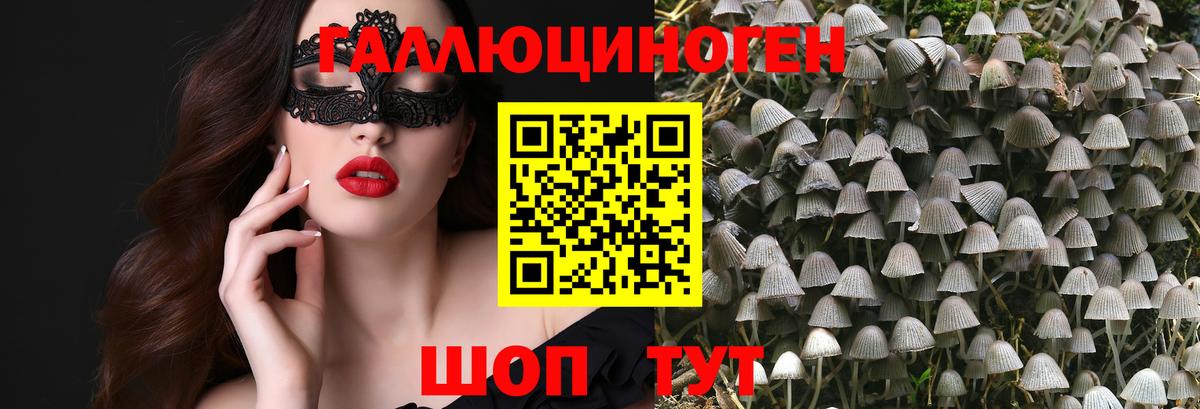 Галлюциногенные грибы Psilocybine cubensis Сердобск